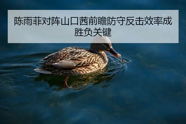 陈雨菲对阵山口茜前瞻防守反击效率成胜负关键