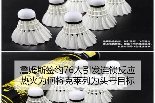 詹姆斯签约76人引发连锁反应 热火为何将克莱列为头号目标 - DAFA.COMapp