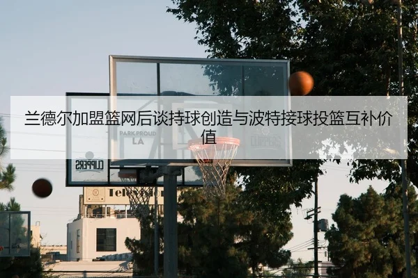 兰德尔加盟篮网后谈持球创造与波特接球投篮互补价值（DAFA.COMapp）
