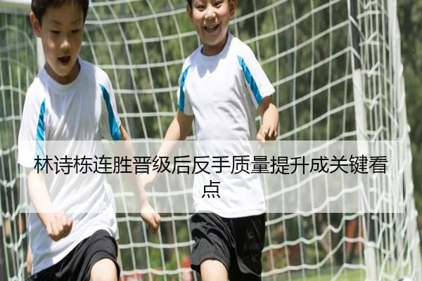 林诗栋连胜晋级后反手质量提升成关键看点 - DAFA.COMapp
